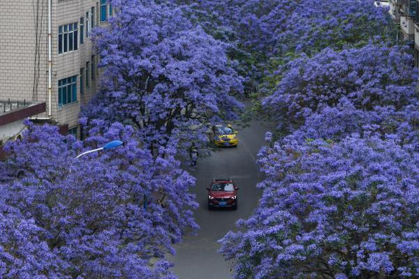 Scientists observed changes in animal behavior due to climate change