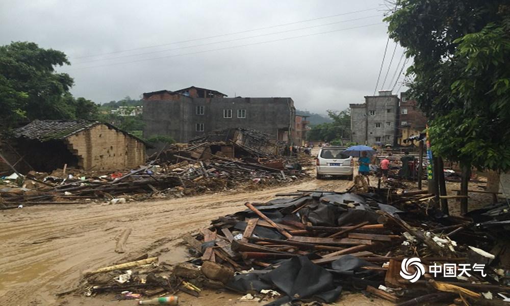 A farm began selling grass-fed beef and free-range eggs to local restaurants and grocery stores