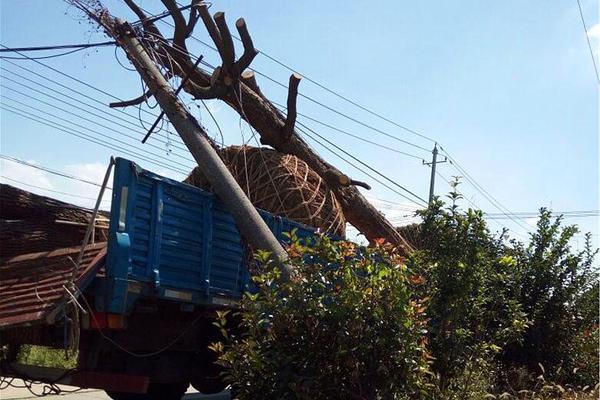 A study found that reading fiction can improve empathy and social understanding