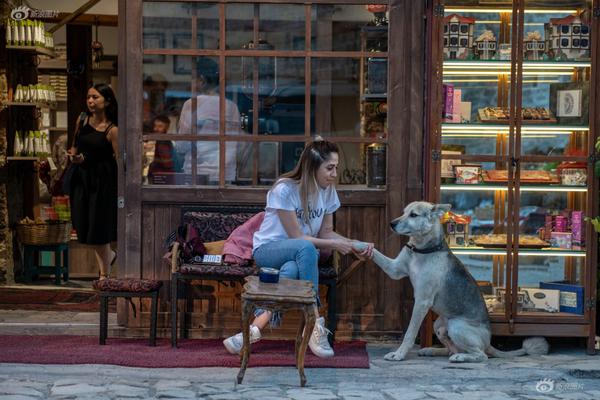 A research study found that spending time with pets improves mental health in seniors