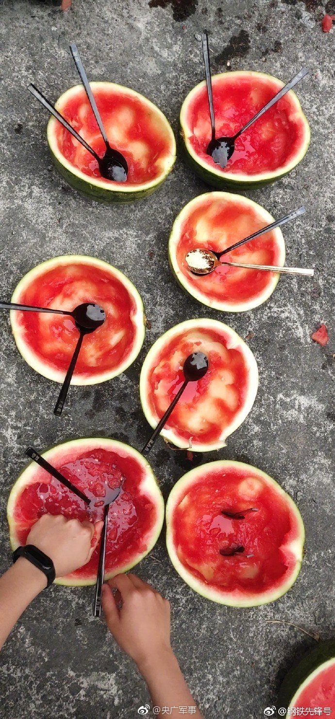 The government passed a law to protect wild animals from illegal hunting and poaching