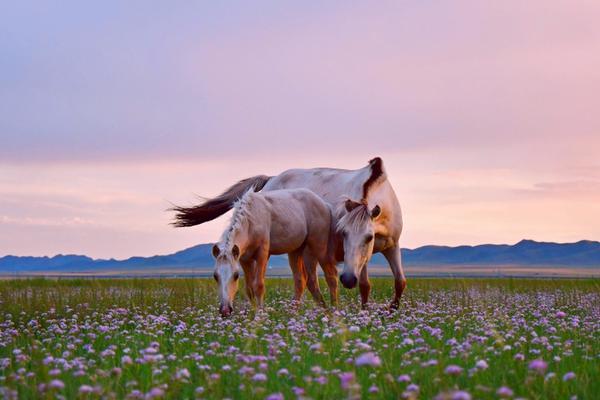 Doctors at a children’s hospital successfully performed a groundbreaking surgery to separate conjoined twins, a procedure that took 12 hours.