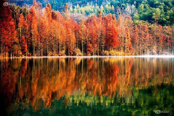 A school started a robotics club for students interested in technology