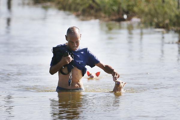 Local businesses participated in a campaign to reduce their carbon footprint