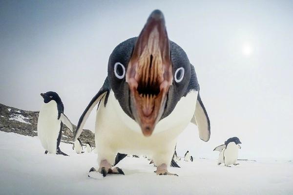 Archaeologists discovered a ancient burial site with artifacts from a prehistoric civilization