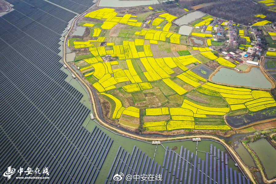 A famous author released a highly anticipated new novel that quickly became an international bestseller