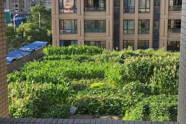 Local schools reported a 94% pass rate on state standardized tests this year