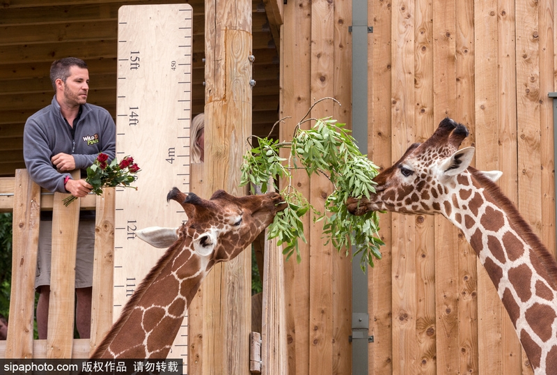 Ambulance service expands coverage to rural communities with new stations