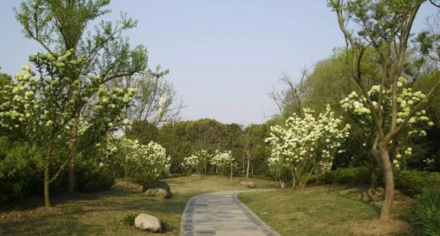 The government launched a program to preserve historical sites