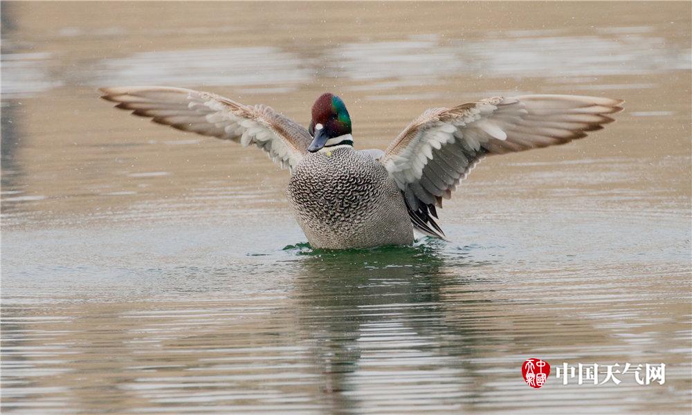 A fashion designer created a line of clothing using recycled ocean plastic to raise environmental awareness