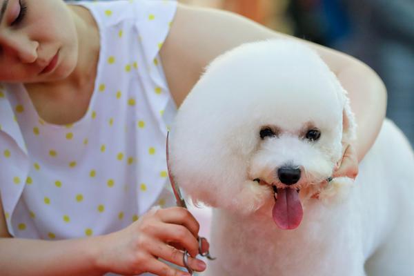 A community organization hosted a charity run that raised $12000 for a local children’s hospital