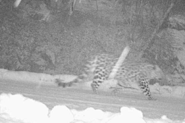 A farmers market started a program to teach kids about farming