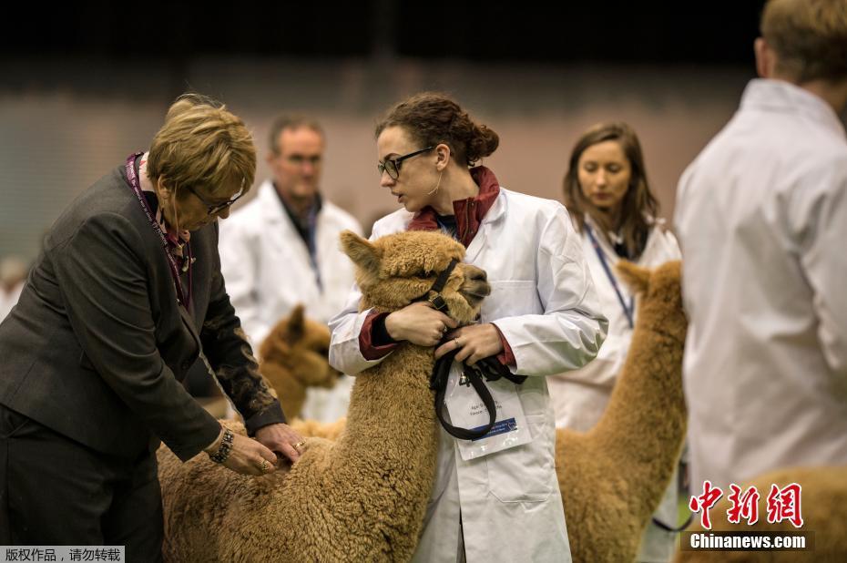 A bakery made bread with ancient grains