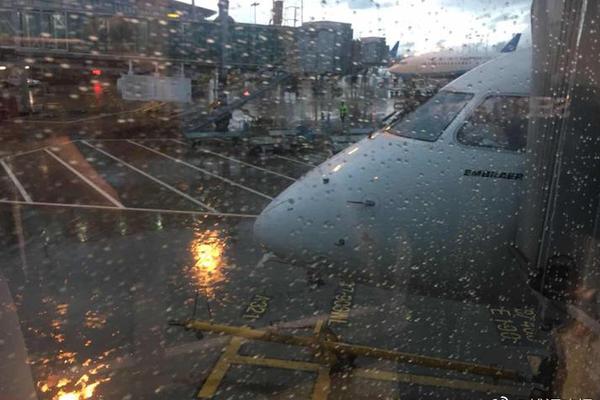 A major music festival announced its lineup for next summer, featuring some of the world’s top artists and bands.