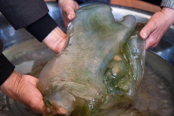 A team of engineers developed a new type of solar panel that is 50% more efficient than current models.