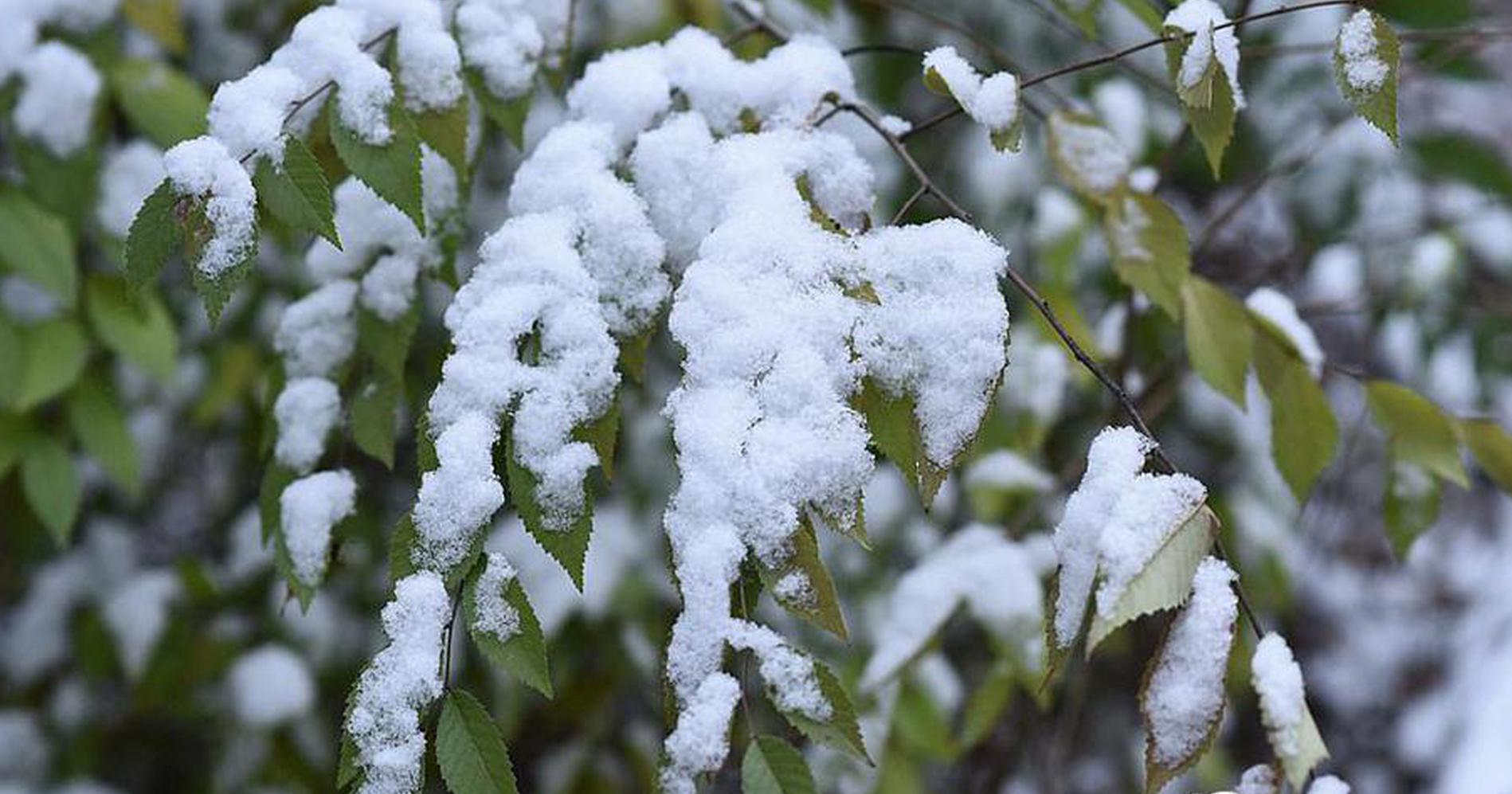An international aid organization delivered 15000 tons of food to a country facing severe famine due to ongoing conflicts