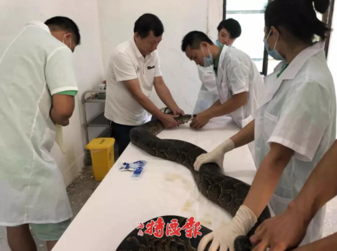 The government announced plans to build a new high-speed rail line connecting three major cities