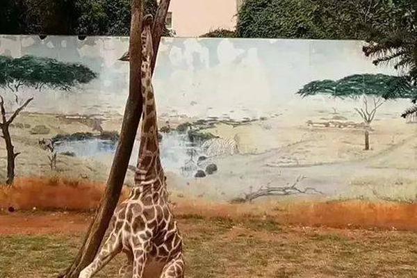 Movie studio releases trailer for highly anticipated sequel to popular film