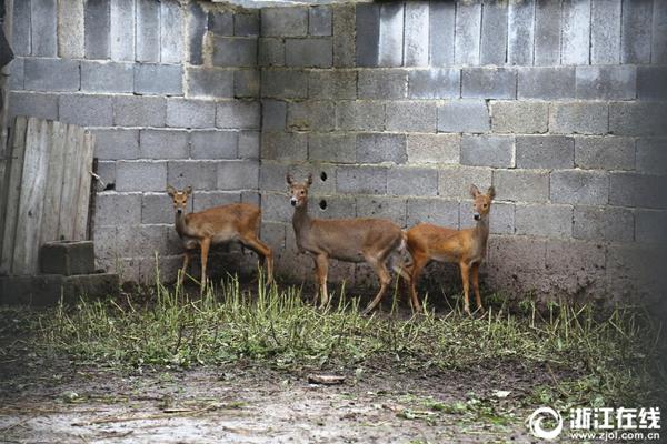 A famous author released a highly anticipated new novel that quickly became an international bestseller