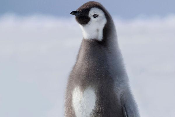 A university professor published a research paper on climate change that was featured in a top scientific journal