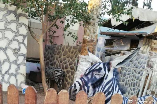 Scientists developed a new method to remove oil spills from coastal beaches more efficiently