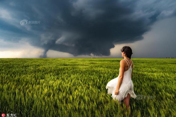 Scientists studied the effects of pollution on marine ecosystems