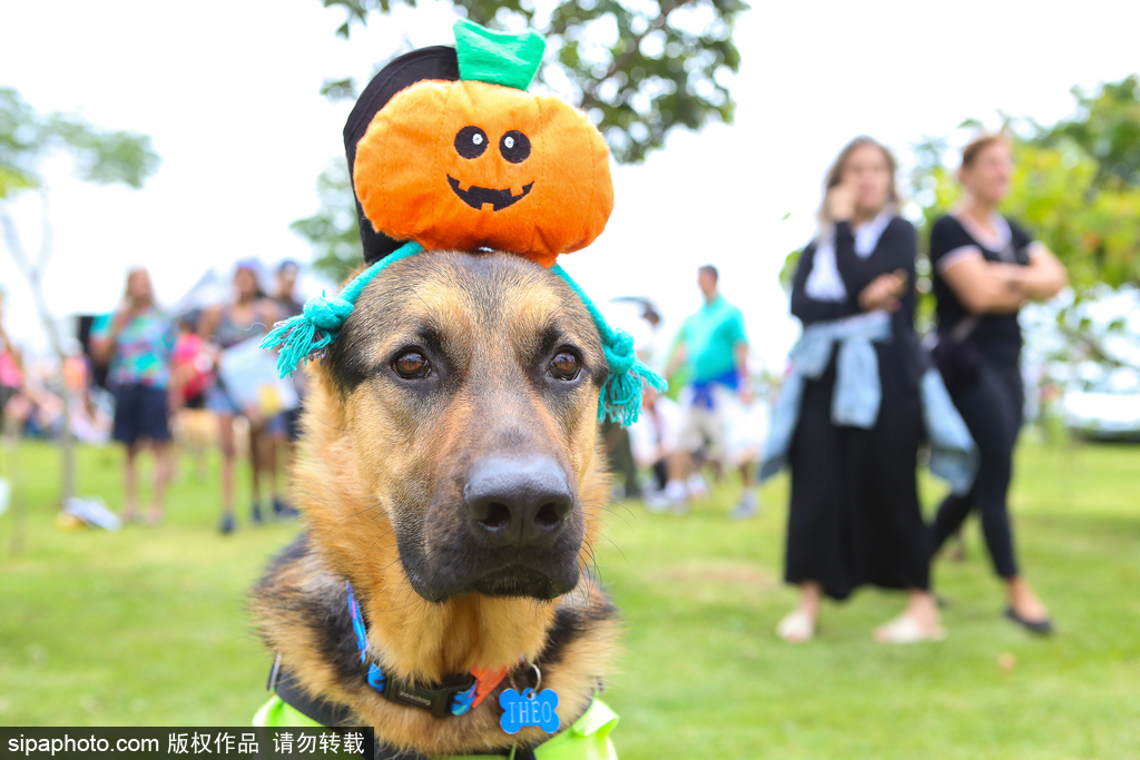 A school district bought new textbooks for students in all grades