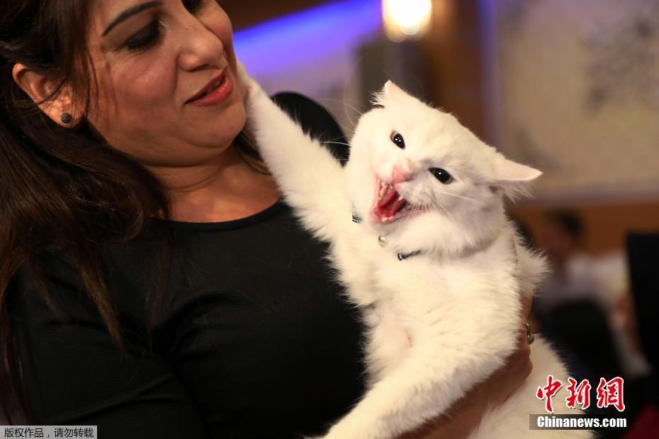 Researchers found that eating nuts regularly is good for heart health