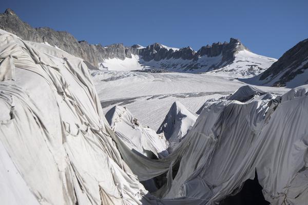 A school started a student-run garden where vegetables are grown and donated to local food banks