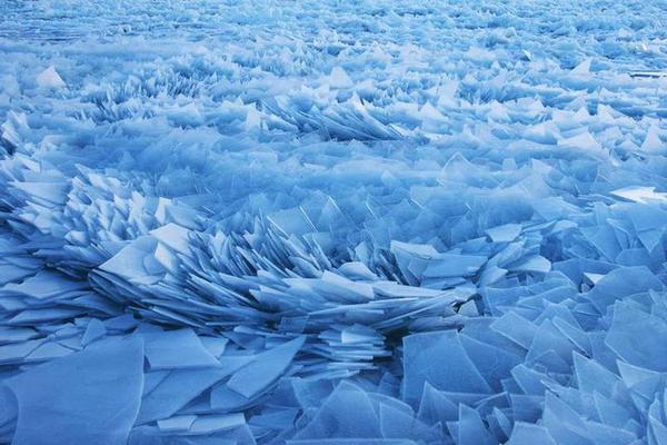 Study reveals that family game nights improve communication between children and parents