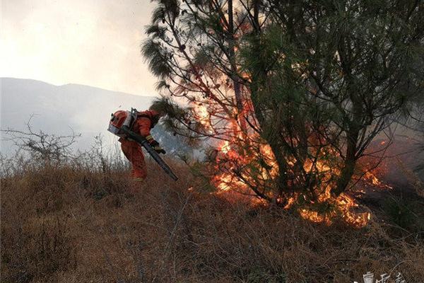 Firefighters rescue family of four from house fire in early morning hours
