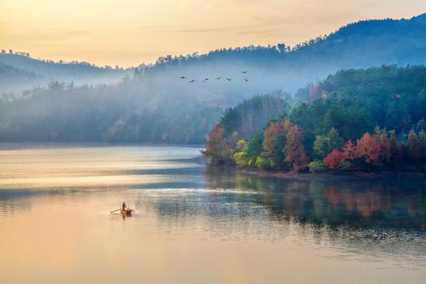 Researchers developed a new vaccine that is effective against multiple strains of a common virus