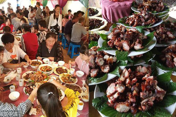 Wildlife sanctuary releases rehabilitated birds of prey into wild