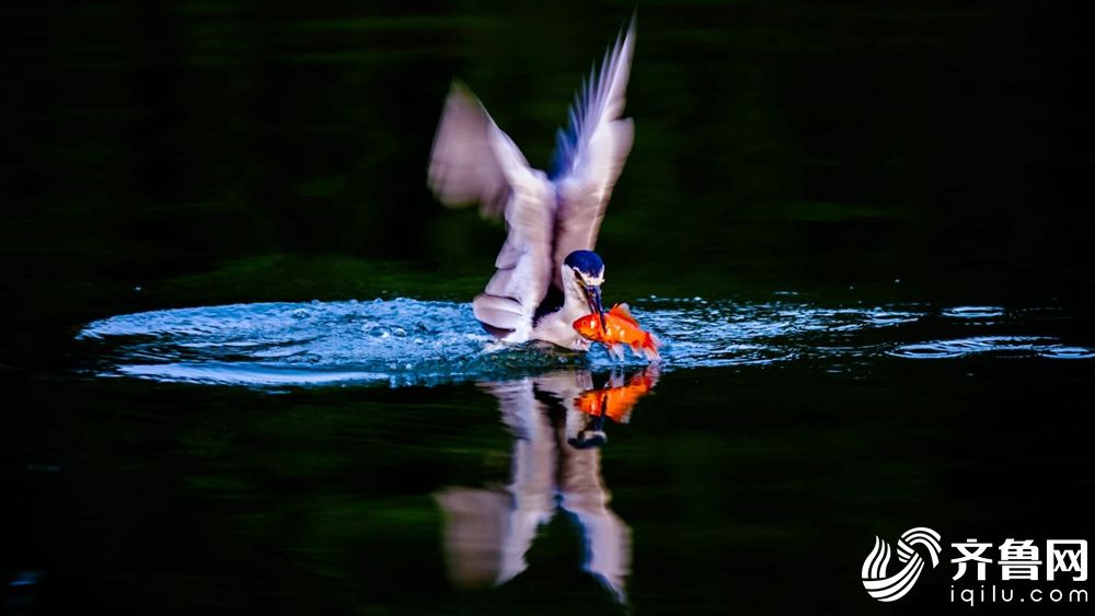 A research team developed a new method to detect early signs of diabetes using blood samples