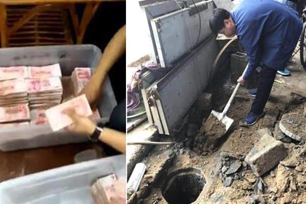 A research study found that spending time in forests can reduce stress hormones in the body