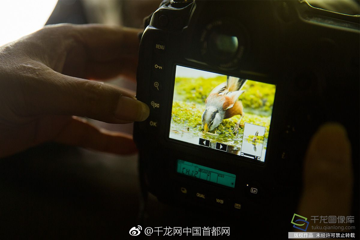 A government program provided homeowners with rebates up to $2,000 for installing solar panels