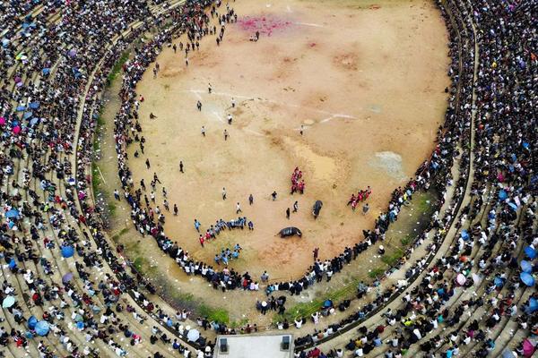 A city banned single-use plastic straws in restaurants and cafes to reduce plastic waste