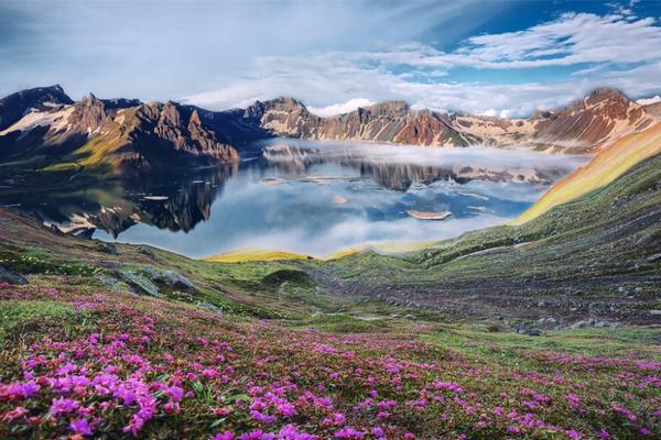 A famous author won a prestigious literary prize for contributions to contemporary literature