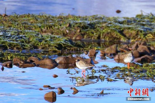 An airline announced it would add new routes to popular vacation spots in Europe