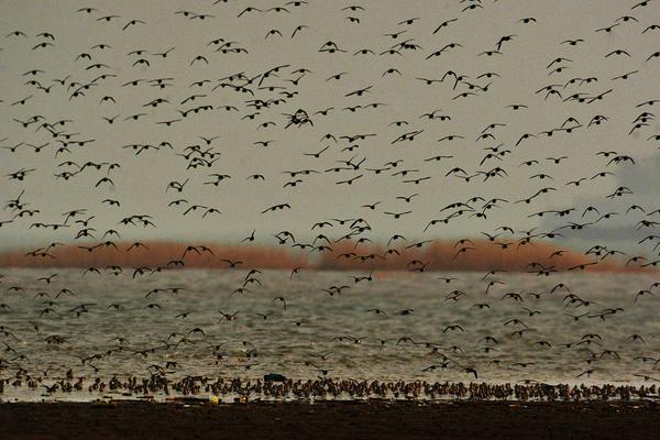 A tennis player won their 23rd Grand Slam title becoming the oldest champion in the sport’s history