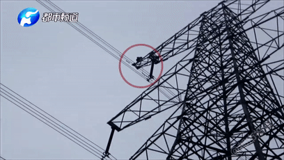 A research study found that spending time in nature improves cognitive function