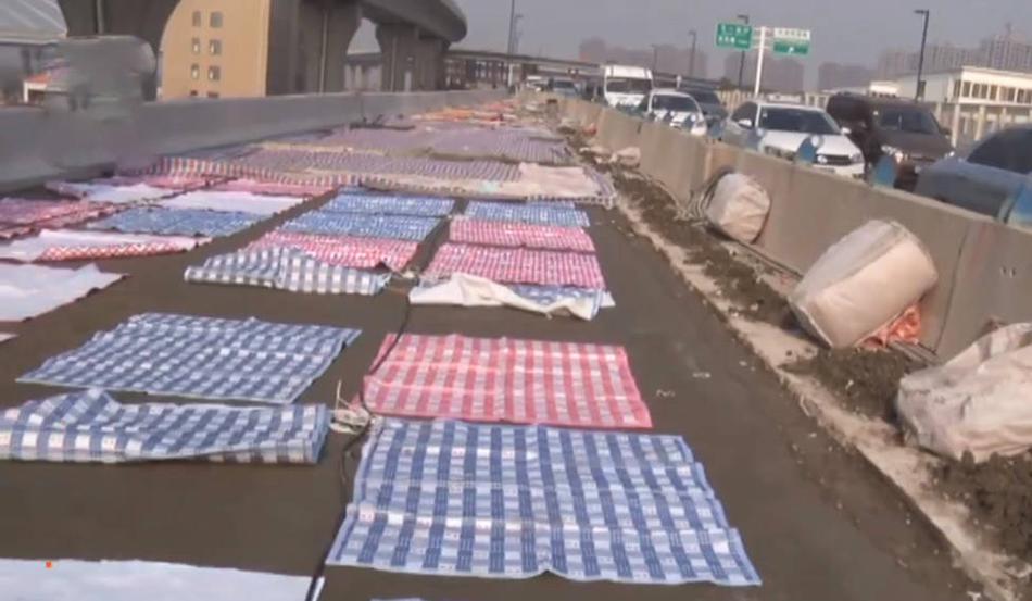 Local businesses participated in a campaign to reduce their carbon footprint