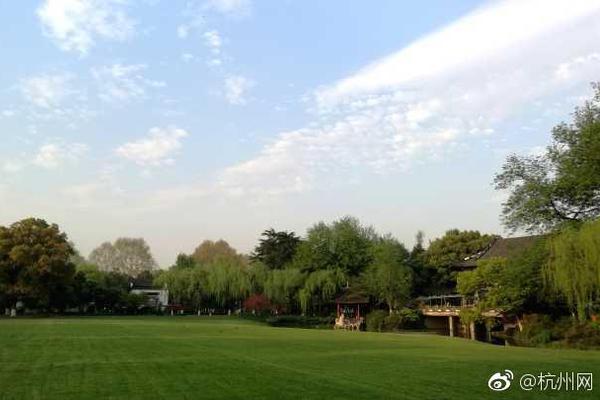 A study showed that drinking black tea can help lower cholesterol levels in adults