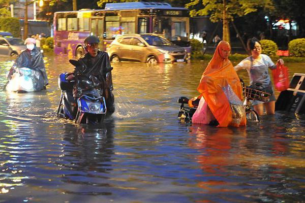 Engineers designed a new type of solar panel that works in low-light conditions