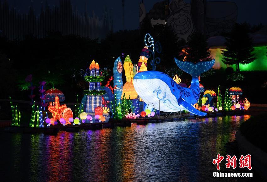 Pet store expands selection of natural pet foods and eco friendly toys