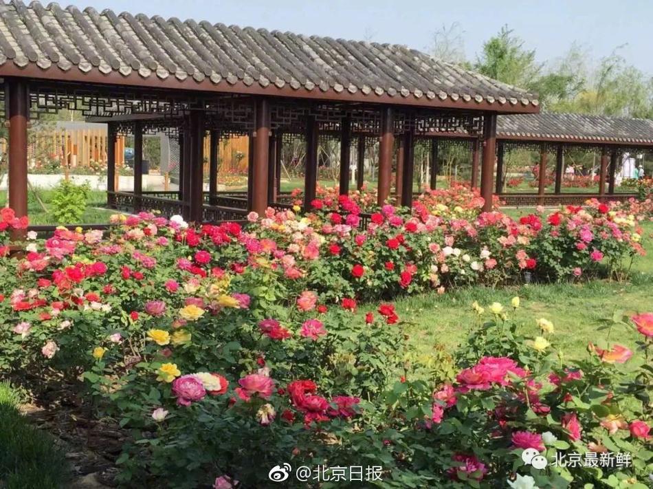 Survey shows majority of employees want more flexible work hours post pandemic