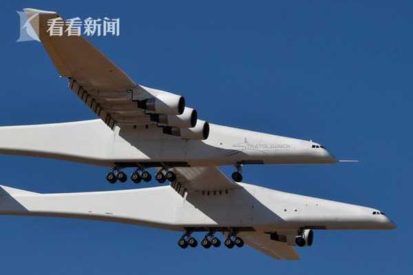 Wildlife rescue group saves baby deer from busy highway