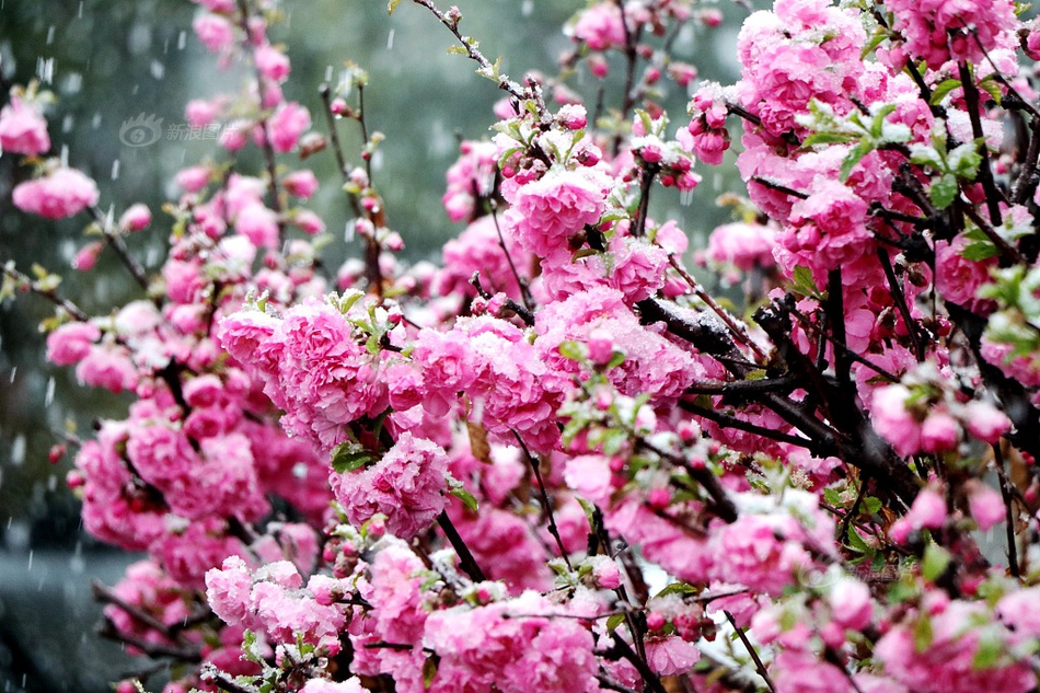 A sports league changed its overtime rules to reduce the risk of player injuries