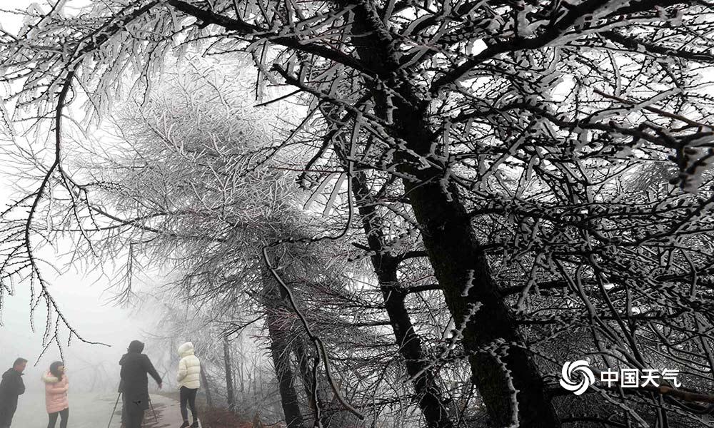 Farmers in the southern region reported a 15% increase in tomato harvests this season