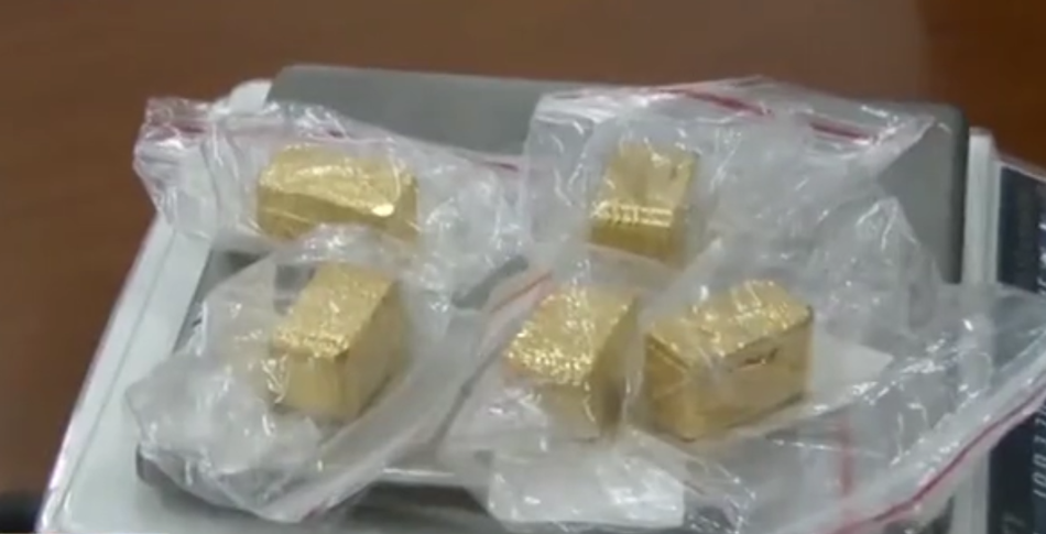 The government introduced new laws to protect the environment